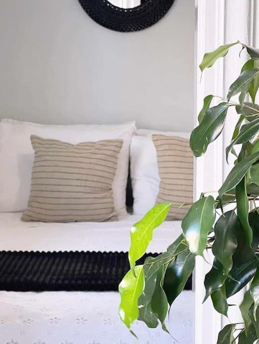 Ammoudara Apartment'S Kálymnos 외부 사진
